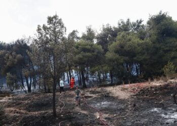 Πυροσβέστες επιθεωρούν το σημείο όπου ξέσπασε η φωτιά στα Γλυκά Νερά φωτ.: EUROKINISSI/Σωτήρης Δημητρόπουλος)