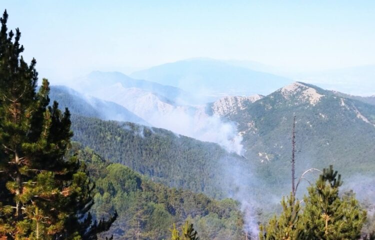 Η φωτιά έχει περάσει πλέον σε βουλγαρικό έδαφος (φωτ.: facebook/Югозападно държавно предприятие ДП)