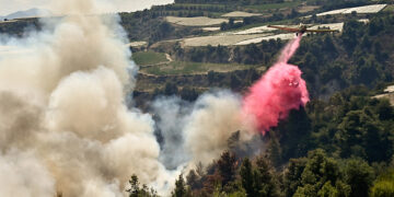 (Φωτ. αρχείου: EUROKINISSI / Βασίλης Ψωμάς)