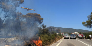 Πυροσβεστικό αεροσκάφος επιχειρεί στην περιοχή Άγιος Βλάσης στο Σοφικό Κορινθίας (φωτ.: ΑΠΕ-ΜΠΕ / Βασίλης Ψωμάς)