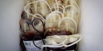 (Φωτ. αρχείου: Δήμος Νεάπολης-Συκεών)