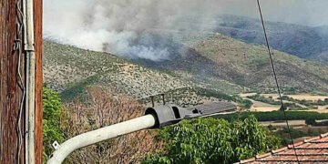 Καπνός από τη φωτιά στα Παρχάρια Εορδαίας (πηγή: ΕΡΤ)