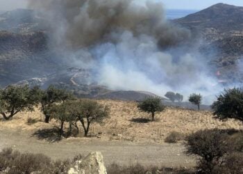 Καπνός από τη φωτιά στο νότιο Ρέθυμνο, στο  Δήμο Αμαρίου (φωτ.: flashnews.gr)
