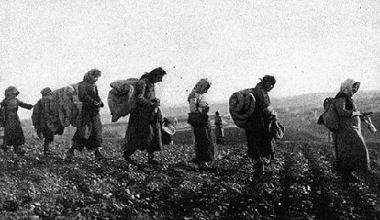 Ελληνίδες σε αναγκαστική πορεία προς τα παράλια (πηγή: βιβλίο «Certain Samaritans» της Έσθερ Λάβτζοϊ)