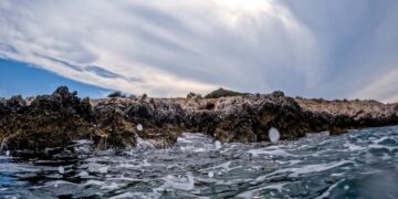 (Φωτ.: EUROKINISSI/Γιώργος Κονταρίνης)