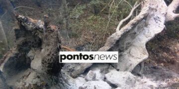 Το σημείο που έπεσε ο κεραυνός με αποτέλεσμα να ξεσπάσει φωτιά στη δασική έκταση στο Κάτω Νευροκόπι (φωτ.: pontosnews.gr)