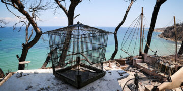 Αυλή σπιτιού στο Μάτι, 11 μέρες μετά τη φονική φωτιά (φωτ.: EUROKINISSI / Βασίλης Ρεμπάπης)