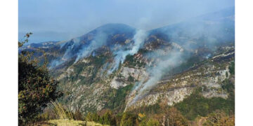 (Φωτ.: facebook / centertv)