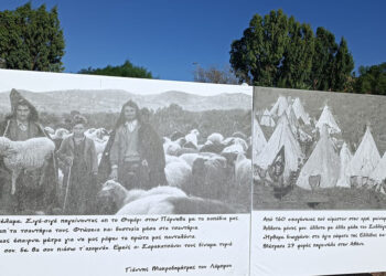 Μαρτυρίες που συγκέντρωσε ο Πολιτιστικός Σύλλογος «Φωκαέων Πολιτεία» (φωτ.: Facebook / Zaxaro Fratzeskou)