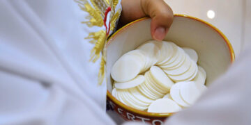 (Φωτ. αρχείου: pixabay.com / lininha)