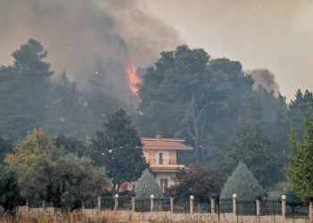 Πυρκαγιά σε δασική έκταση στην περιοχή Γεράκι Αμαλιάδας στην Ηλεία (φωτ. αρχείου: IliaLive.gr/ Γιάννης Σπυρούνης)