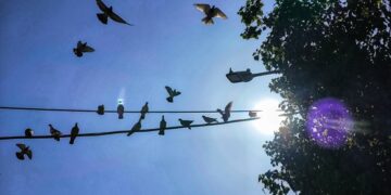 (Φωτ.: EUROKINISSI/Γιώργος Κονταρίνης)