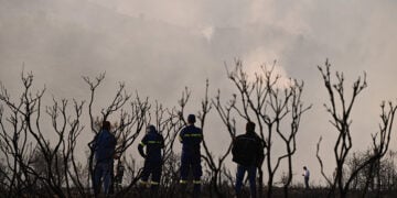 (Φωτ. αρχείου: EUROKINISSI / Μιχάλης Καραγιάννης)