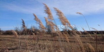 (Φωτ. αρχείου: Χριστίνα Κωνσταντάκη)