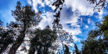 (Φωτ.: EUROKINISSI/Γιώργος Κονταρίνης)