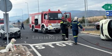 Αριστερά διακρίνεται ο σκύλος και δεξιά το αναποδογυρισμένο Smart, στο οποίο βρήκε τραγικό θάνατο ο οδηγός (φωτ.: LamiaReport.gr)