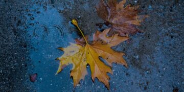 (Φωτ.: EUROKINISSI/Δήμητρα Κούτρα)