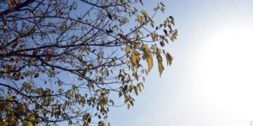 (Φωτ.: EUROKINISSI/Βασίλης Παπαδόπουλος)