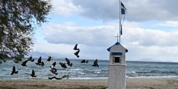 (Φωτ. αρχείου: Eurokinissi/Μιχάλης Καραγιάννης)