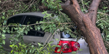 Εικόνα από την πρόσφατη κακοκαιρία «Bora»
(φωτ.: EUROKINISSI / Δήμητρα Κούτρα)