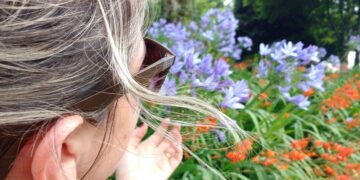 (Πηγή φωτ.: pixabay.com)