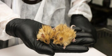 (Φωτ.: Colossal Biosciences)