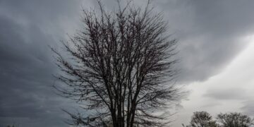 (Φωτ.: EUROKINISSI/Θανάσης Καλλιάρας)