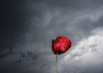 (Φωτ.: EUROKINISSI/Θανάσης Καλλιάρας)