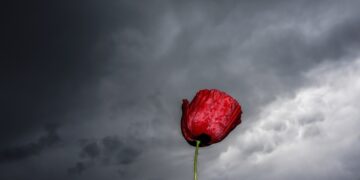 (Φωτ.: EUROKINISSI/Θανάσης Καλλιάρας)