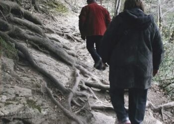 Τμήμα από το εξώφυλλο του βιβλίου
