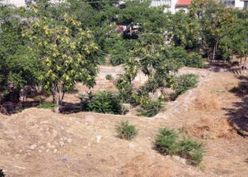 Καθαρισμός οικοπέδου (φωτ. αρχείου: Eurokinissi/Γρηγόρης Ξανθός)