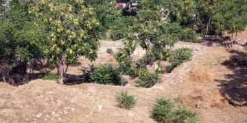 Καθαρισμός οικοπέδου (φωτ. αρχείου: Eurokinissi/Γρηγόρης Ξανθός)