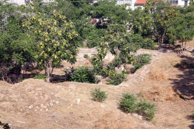 Καθαρισμός οικοπέδου (φωτ. αρχείου: Eurokinissi/Γρηγόρης Ξανθός)