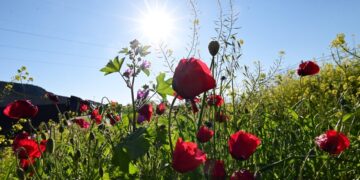 (Φωτ.: EUROKINISSI/Βασίλης Παπαδόπουλος)