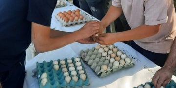 Από τις περσινές αυγομαχίες του συλλόγου (φωτ.: facebook / Μορφωτικός Σύλλογος Κωνσταντίας)
