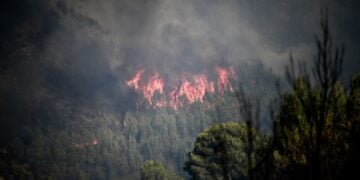 (Φωτ. αρχείου: EUROKINISSI/IleiaLive/Γιάννης Σπυρούνης)