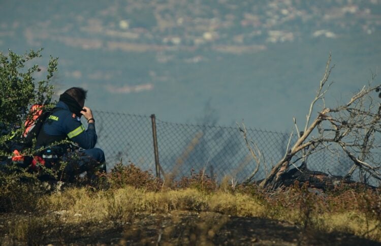 (Φωτ. αρχείου: EUROKINISSI/Γιάννης Παναγόπουλος)