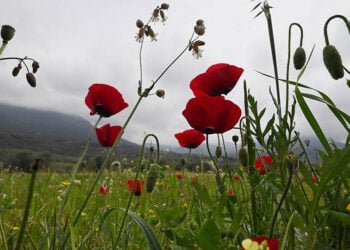 Συννεφιά στην Αργολίδα (φωτ.: EUROKINISSI / Βασίλης Παπαδόπουλος)