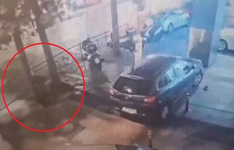 Μέσα στον κύκλο διακρίνεται ο ύποπτος να τοποθετεί το σακίδιο (φωτ.: glomex)