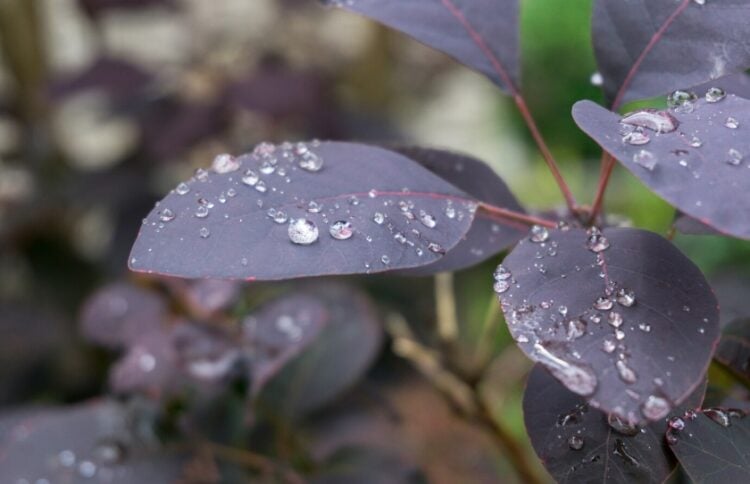 (Φωτ.: freepik.com)