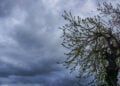 Σύννεφα καταιγίδας πάνω από την πόλη των Τρικάλων (φωτ.: EUROKINISSI / Θανάσης Καλλιάρας)