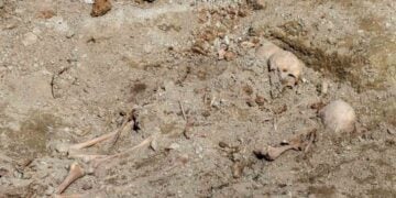 Σκελετοί σε έναν από τους ομαδικούς τάφους που βρέθηκαν στο δήμο Νεάπολης-Συκεών (φωτ.: Δήμος Νεάπολης-Συκεών)