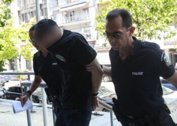 Απολογία στον εισαγγελέα του 34χρονου που κατηγορείται ότι κλώτσησε και πάτησε με το αυτοκίνητό του ένα γατάκι στην Καλαμαριά Θεσσαλονίκης (φωτ.: MotionTeam/Βασίλης Βερβερίδης)