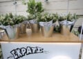 Το flower station του ΣΚΡΑΤΣ