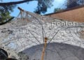 (Φωτ.: Χριστίνα Κωνσταντάκη)