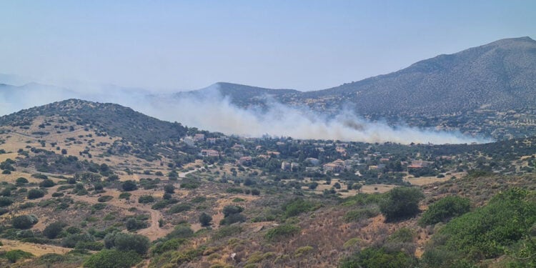 (Φωτ.: facebook / Πυροπροστασία Δασών Λαυρεωτικής)