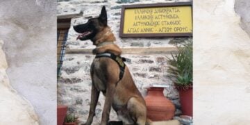 Ο Όσκαρ είναι ο πιο διάσημος σκύλος περιπολίας της ΕΛΑΣ (φωτ.: Ελληνική Αστυνομία/Δημήτρης Καλαθάς)