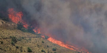 (Φωτ.: EUROKINISSI / Κώστας Αναγνώστου)