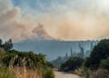 Πυρκαγιά καίει δασική έκταση στην περιοχή Άγιος Γεώργιος Συκούσης στη Χίο (φωτ.: ΑΠΕ-ΜΠΕ / Κώστας Κούργιας)