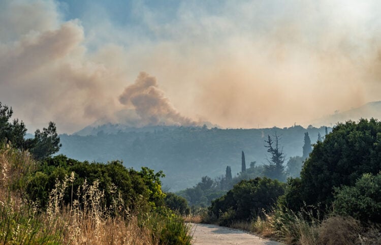 Πυρκαγιά καίει δασική έκταση στην περιοχή Άγιος Γεώργιος Συκούσης στη Χίο (φωτ.: ΑΠΕ-ΜΠΕ / Κώστας Κούργιας)